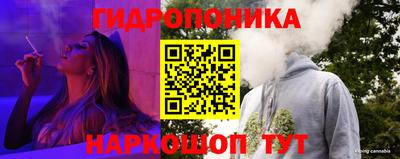 хмурый Можга