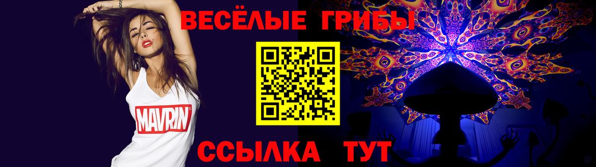 Татарск  Галлюциногенные грибы GOLDEN TEACHER  Вход с VPN 
